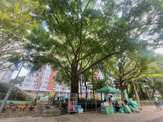 上水马会道近天平邨天祥楼对出行人路