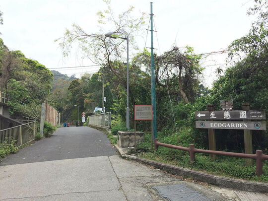 大榄郊游场(生态园)