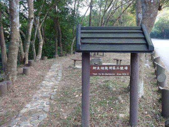 大网仔路(近鲫鱼湖)