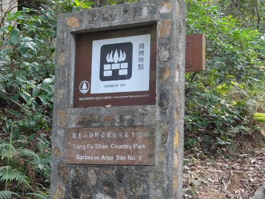 克顿道松林废堡