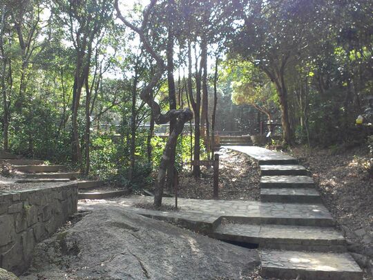 大潭水塘道