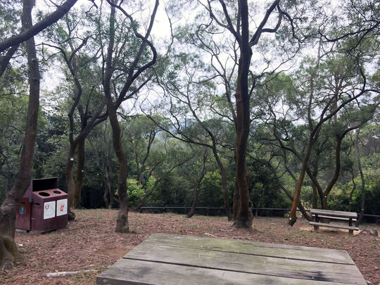 大榄林道深井段