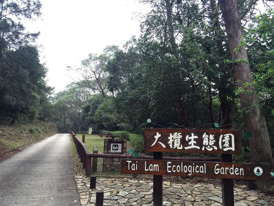 大榄林道深井段