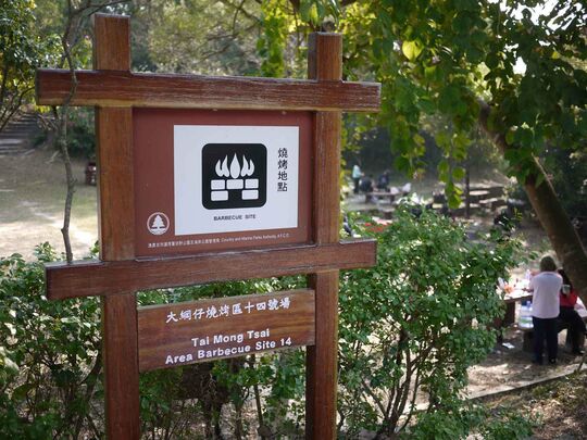 大网仔路