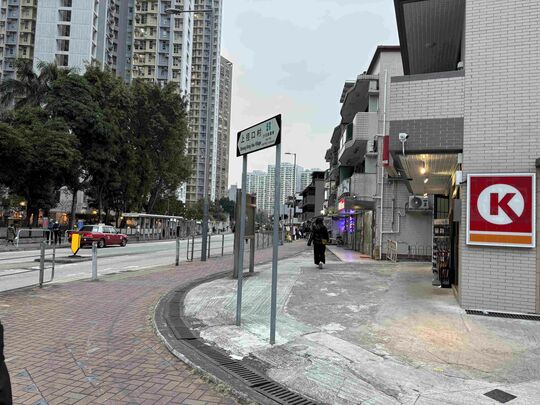 大圍顯徑街及顯田街交界（上徑口村外）