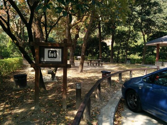 大欖林道深井段