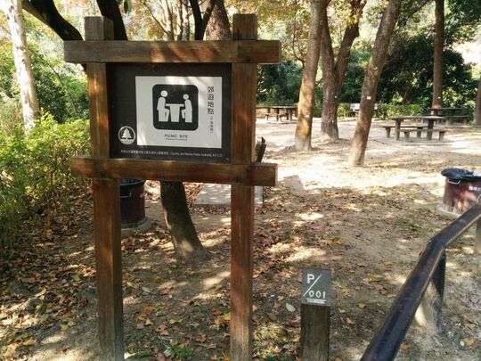 大欖林道深井段