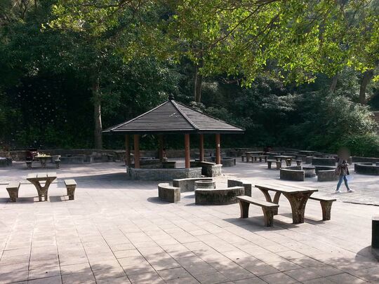 城门水塘 城门烧烤区5号场