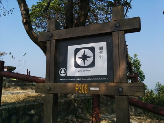 大榄林道深井段 郊游地点 P308
