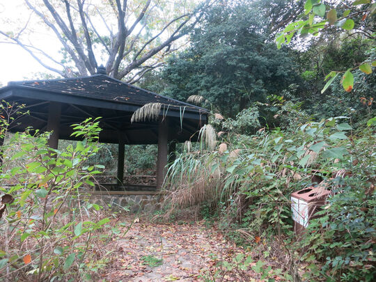 Pat Sin Leng Picnic site - PSLP1, Bride's Pool Road