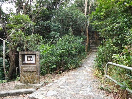 薄扶林水塘道 薄扶林郊野公園郊遊區1號場