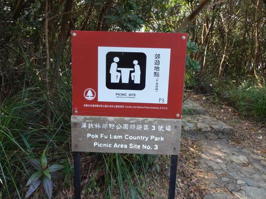 薄扶林水塘道 薄扶林郊野公園郊遊區3號場