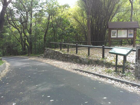 大潭水塘道 郊遊地點003